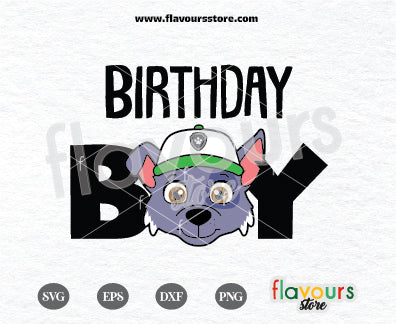 Birthday Boy, Rocky Paw Patrol, Kids cartoon Svg, Paw Patrol Cartoon Svg, Paw Patrol SVG Cut File