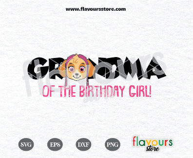 Grandma of the Birthday Girl, Skye Paw Patrol, Kids cartoon Svg, Paw Patrol Cartoon Svg, Paw Patrol SVG Cut File