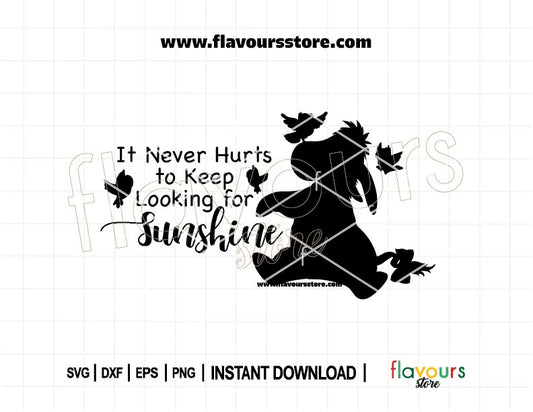 Funny Eeyore SVG cut file with “You Are My Sunshine” quote – perfect for Cricut shirts, vinyl decals, and humorous crafts for Winnie the Pooh fans.