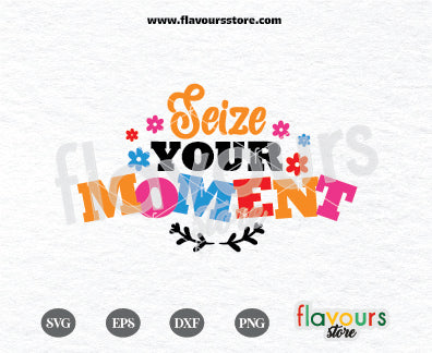 Seize Your Moment, Disney Coco, SVG Cut File, Cricut