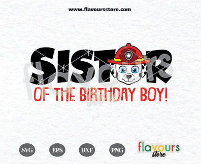 Sister of the Birthday Boy, Marshall Paw Patrol Svg, Kids cartoon Svg, Paw Patrol Cartoon Svg, Paw Patrol SVG Cut File