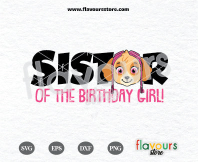 Sister of Birthday Girl, Skye Paw Patrol, Kids cartoon Svg, Paw Patrol Cartoon Svg, Paw Patrol SVG Cut File