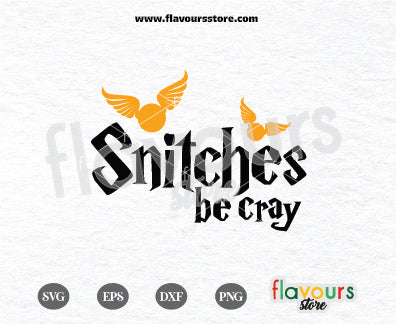 Snitches Be Cray, Wizard SVG, Magic SVG, Svg Files for Cricut